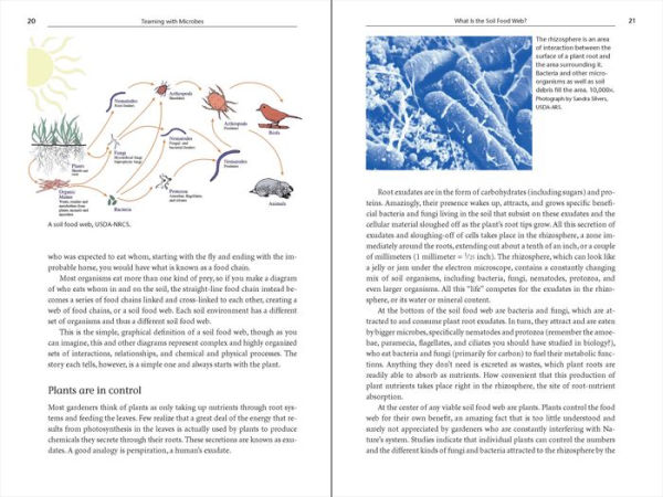 Teaming with Microbes: The Organic Gardener's Guide to the Soil Food Web, Revised Edition