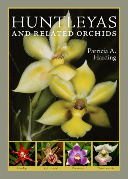 Huntleyas and Related Orchids