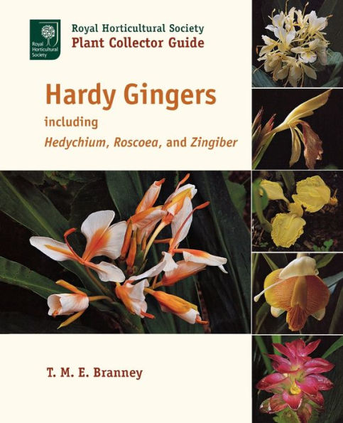 Hardy Gingers: including Hedychium, Roscoea, and Zingiber