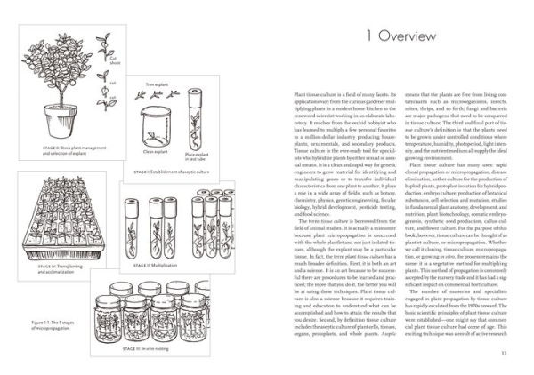 Plants from Test Tubes: An Introduction to Micropropogation