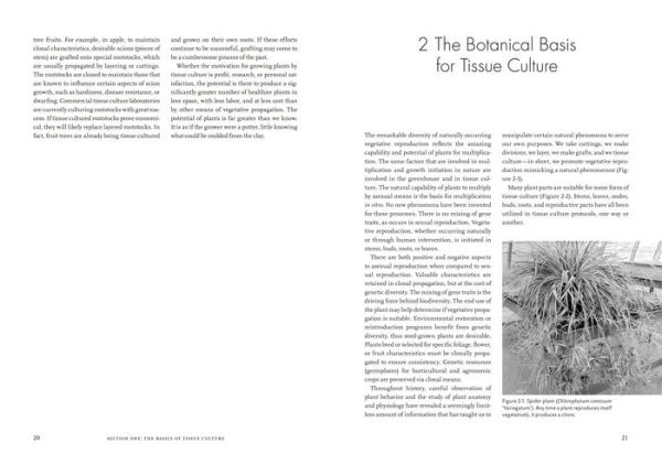Plants from Test Tubes: An Introduction to Micropropogation
