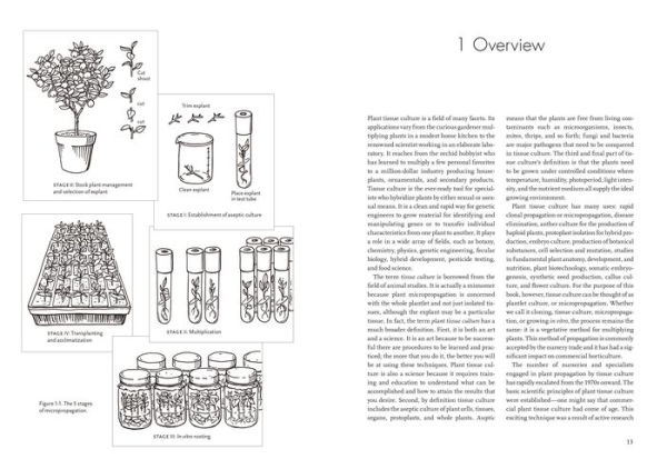Plants from Test Tubes: An Introduction to Micropropogation