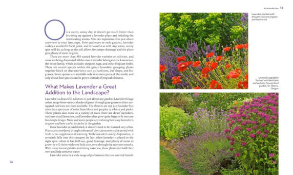 The Lavender Lover's Handbook: 100 Most Beautiful and Fragrant Varieties for Growing, Crafting, Cooking