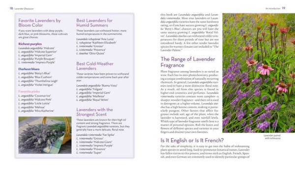 The Lavender Lover's Handbook: The 100 Most Beautiful and Fragrant ...