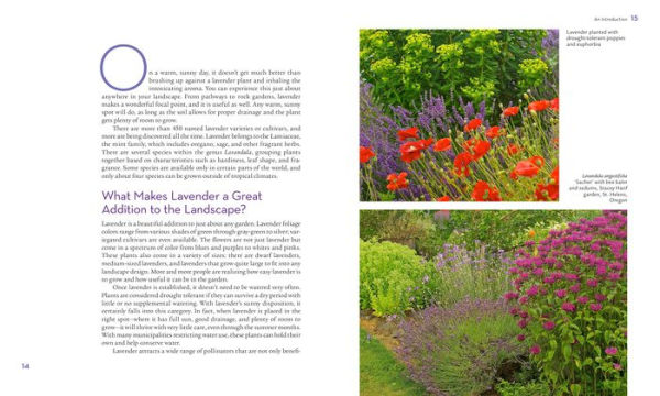 The Lavender Lover's Handbook: 100 Most Beautiful and Fragrant Varieties for Growing, Crafting, Cooking