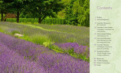Alternative view 5 of The Lavender Lover's Handbook: The 100 Most Beautiful and Fragrant Varieties for Growing, Crafting, and Cooking