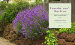 Alternative view 7 of The Lavender Lover's Handbook: The 100 Most Beautiful and Fragrant Varieties for Growing, Crafting, and Cooking