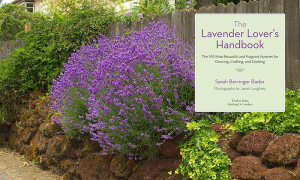 The Lavender Lover's Handbook: 100 Most Beautiful and Fragrant Varieties for Growing, Crafting, Cooking