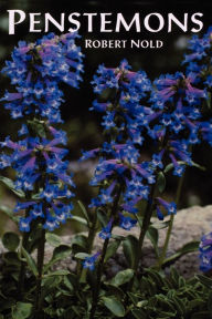 Title: Penstemons, Author: Robert Nold