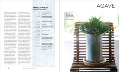 Alternative view 6 of The Unexpected Houseplant: 220 Extraordinary Choices for Every Spot in Your Home