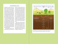 Alternative view 11 of Teaming with Nutrients: The Organic Gardener's Guide to Optimizing Plant Nutrition