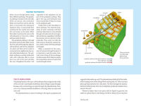 Alternative view 2 of Teaming with Nutrients: The Organic Gardener's Guide to Optimizing Plant Nutrition