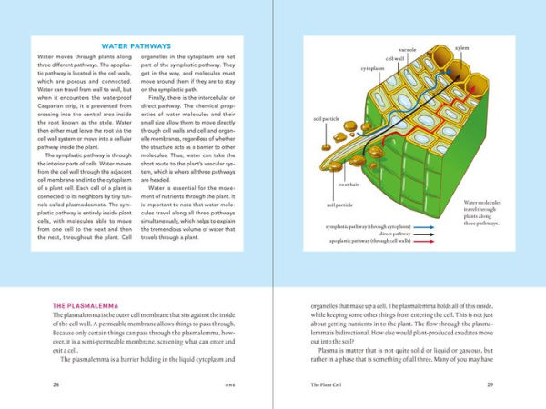 Teaming with Nutrients: The Organic Gardener's Guide to Optimizing Plant Nutrition