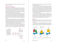 Alternative view 5 of Teaming with Nutrients: The Organic Gardener's Guide to Optimizing Plant Nutrition