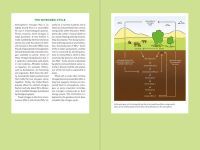 Alternative view 6 of Teaming with Nutrients: The Organic Gardener's Guide to Optimizing Plant Nutrition