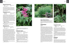 Alternative view 5 of Essential Perennials: The Complete Reference to 2700 Perennials for the Home Garden