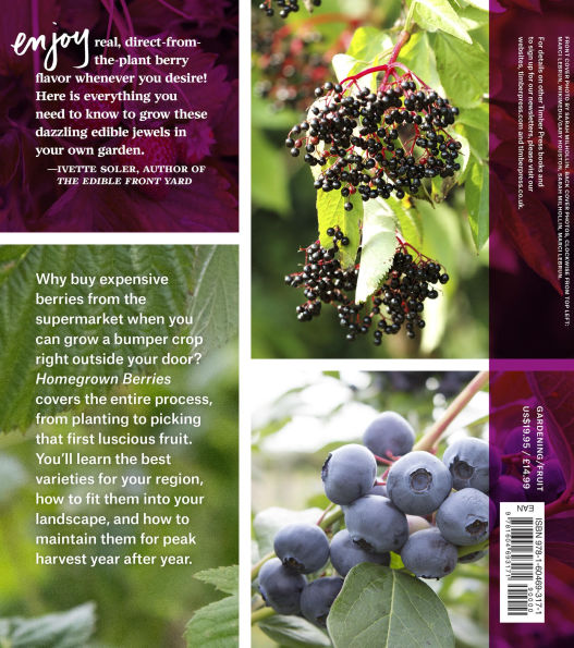 Homegrown Berries: Successfully Grow Your Own Strawberries, Raspberries, Blueberries, Blackberries, and More