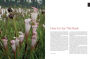 Alternative view 4 of Native Plants of the Southeast: A Comprehensive Guide to the Best 460 Species for the Garden