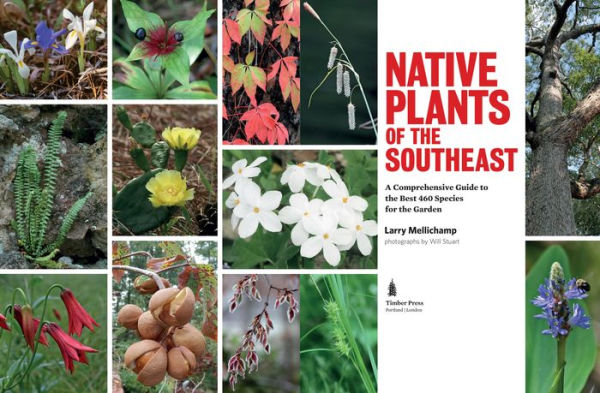 Native Plants of the Southeast: A Comprehensive Guide to the Best 460 Species for the Garden