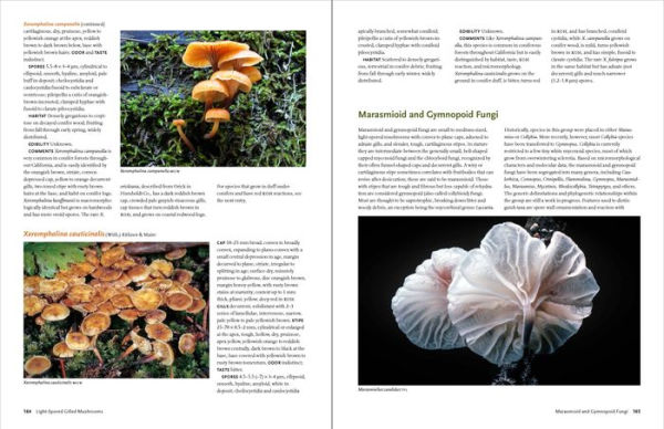 California Mushrooms: The Comprehensive Identification Guide