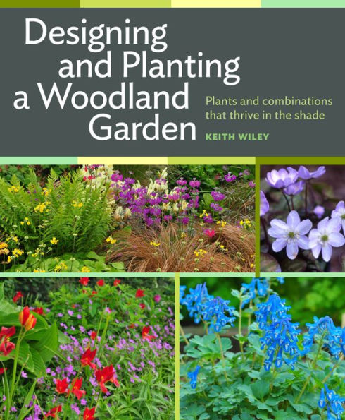 Designing and Planting a Woodland Garden: Plants and Combinations that Thrive in the Shade