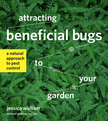 Attracting Beneficial Bugs To Your Garden A Natural