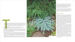 Alternative view 3 of The Plant Lover's Guide to Sedums