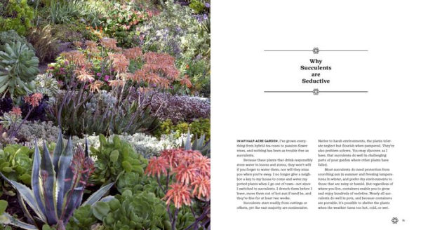 Succulents Simplified: Growing, Designing, and Crafting with 100 Easy-Care Varieties