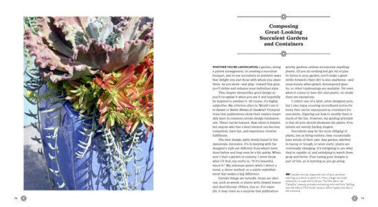 Succulent Container Gardens Design EyeCatching Displays with 350 EasyCare Plants