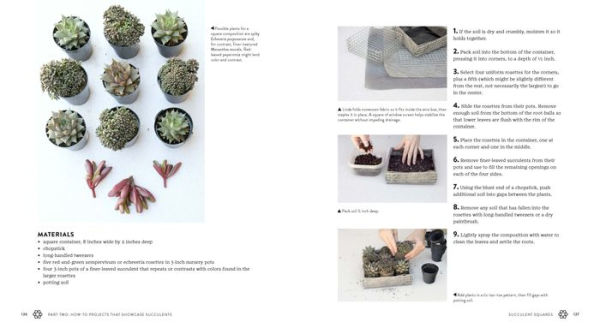 Succulents Simplified: Growing, Designing, and Crafting with 100 Easy-Care Varieties