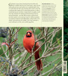 Alternative view 12 of The Living Landscape: Designing for Beauty and Biodiversity in the Home Garden