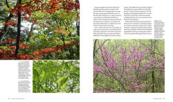 Alternative view 5 of The Living Landscape: Designing for Beauty and Biodiversity in the Home Garden
