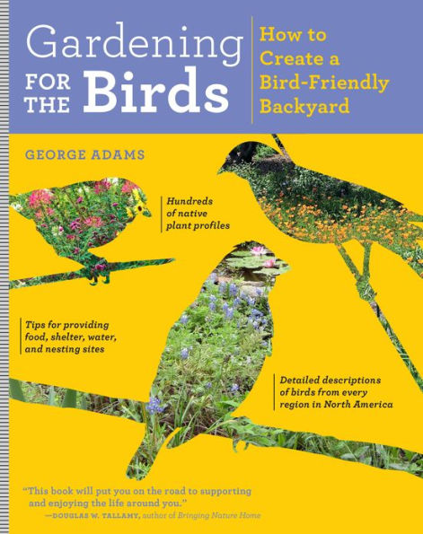 Gardening for the Birds: How to Create a Bird-Friendly Backyard