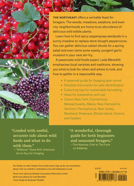 Northeast Foraging: 120 Wild and Flavorful Edibles from Beach Plums to Wineberries