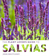 Title: The Plant Lover's Guide to Salvias, Author: John Whittlesey