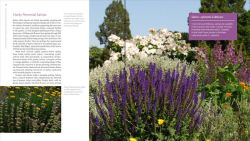 Alternative view 3 of The Plant Lover's Guide to Salvias