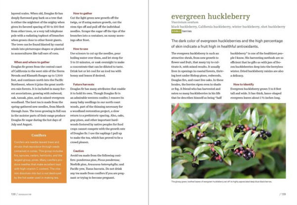 California Foraging: 120 Wild and Flavorful Edibles from Evergreen Huckleberries to Wild Ginger