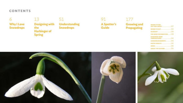 The Plant Lover's Guide to Snowdrops