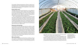 Alternative view 11 of Practical Permaculture: for Home Landscapes, Your Community, and the Whole Earth