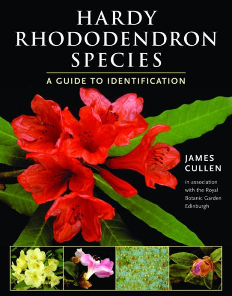 Hardy Rhododendron Species: A Guide to Identification