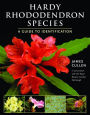 Alternative view 2 of Hardy Rhododendron Species: A Guide to Identification