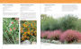 Alternative view 12 of Hot Color, Dry Garden: Inspiring Designs and Vibrant Plants for the Waterwise Gardener