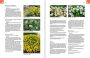 Alternative view 6 of The Complete Book of Ground Covers: 4000 Plants that Reduce Maintenance, Control Erosion, and Beautify the Landscape