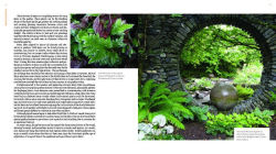 Alternative view 4 of The Plant Lover's Guide to Ferns