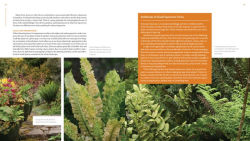 Alternative view 8 of The Plant Lover's Guide to Ferns