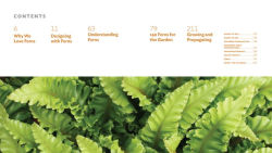 Alternative view 9 of The Plant Lover's Guide to Ferns