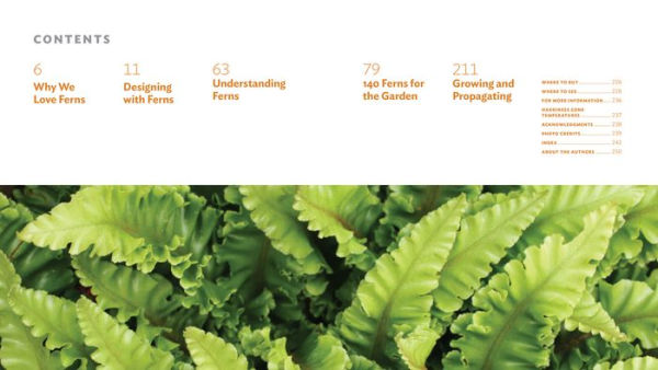 The Plant Lover's Guide to Ferns