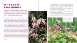 Alternative view 4 of The Plant Lover's Guide to Epimediums