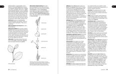 Alternative view 10 of The Dictionary of Science for Gardeners: 6000 Scientific Terms Explored and Explained