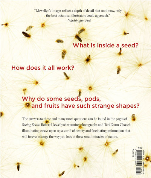 Seeing Seeds: A Journey into the World of Seedheads, Pods, and Fruit